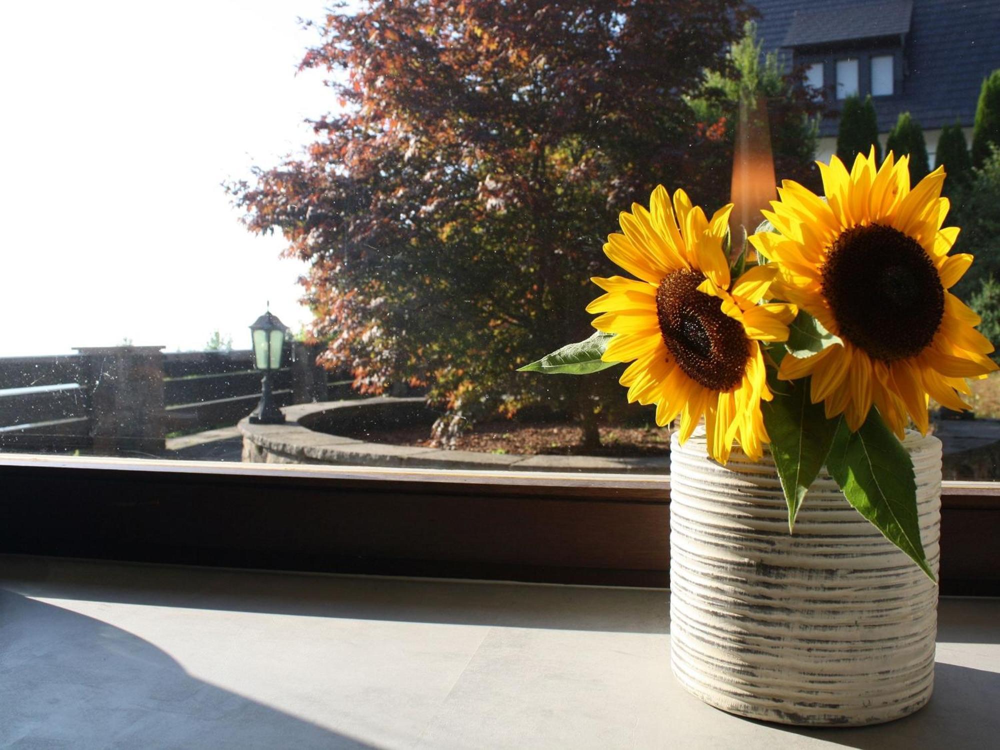 Haus Talblick Sasbachwalden Villa Luaran gambar