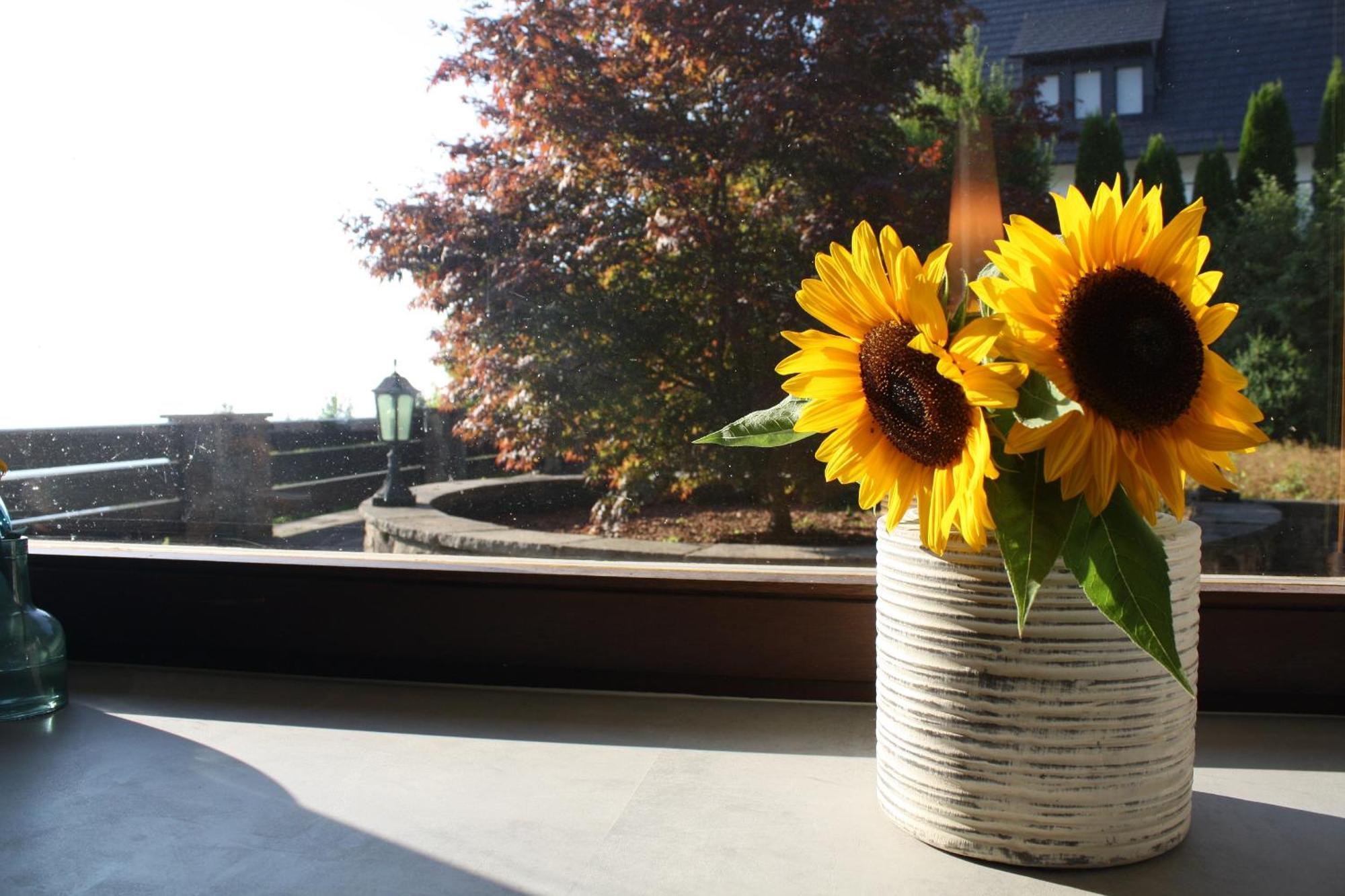 Haus Talblick Sasbachwalden Villa Luaran gambar